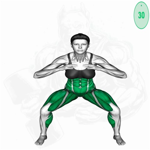 2.7M views · 71K reactions | Abs core and obliques training | Mundo músculos Rutinas | Facebook