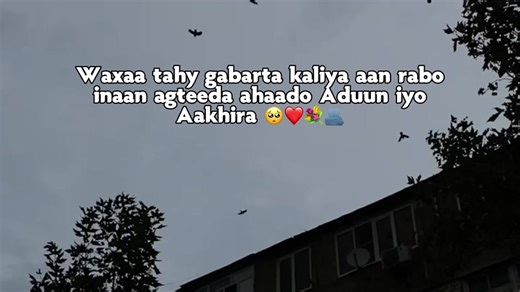 Creative Writing Tips and Ideas for Beginners