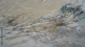 On the surface of the water, during rain, mud, silt and sand rise from the bottom. Swirls of dirty water on the river. Waste and dirt are drained into the water. Concept. Environmental pollution. 4K