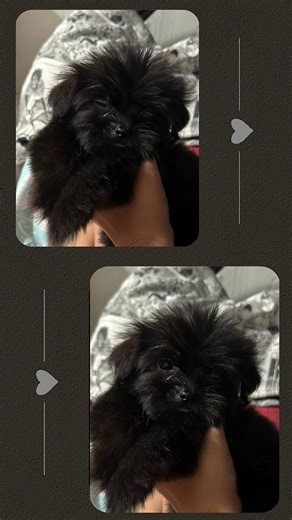 Unknown (@its.syraso)’s videos with original sound - jexcel smith -