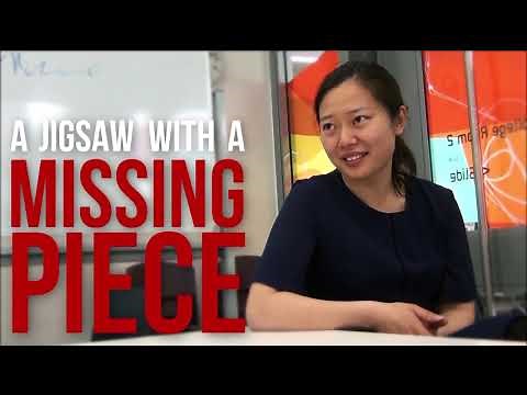 Why are School Libraries so Important?