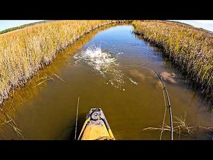 Sight Fishing for Redfish in Kayaks (Catch & Cook) | Field Trips Mississippi