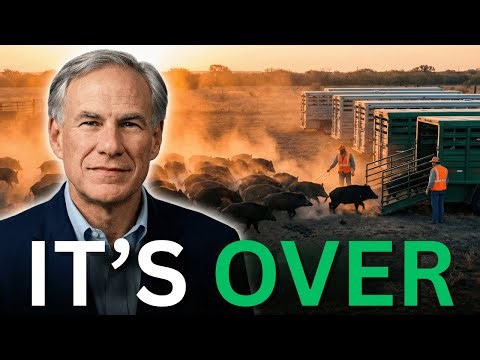 Texas' Wild Boar Crisis: The Shocking New Solution Nobody Saw Coming