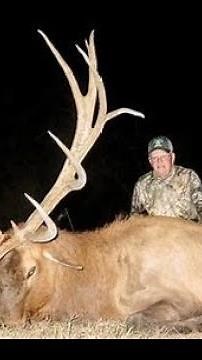 Elk Hunting: Mastering the Preference Point System