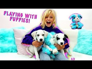 Payton Plays with Puppies! Scruff-a-Luvs