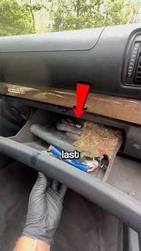 People Who Find Crazy Things In Used Cars!😳