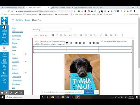Remove Table Borders & Interior Lines in Canvas