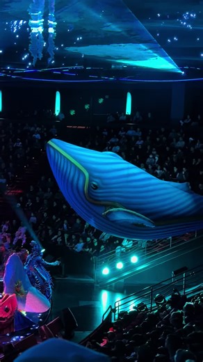 This show is Amazing.