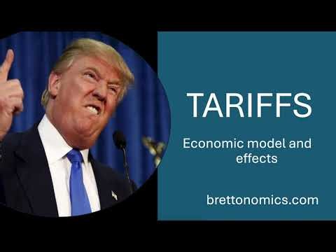 Tariffs: Economic model and effects