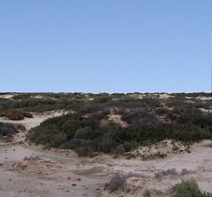Strzelecki Track