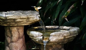 The Best Bird Baths for Hummingbirds in 2022