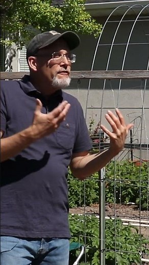 Using a string trellis in your garden.