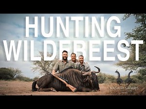 Hunting Blue Wildebeest in South Africa