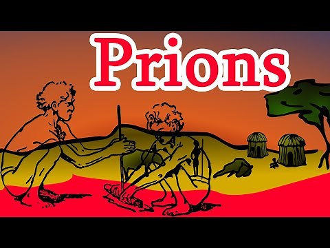 Prion Disease - Deadliest Disease. Creutzfeldt–Jakob disease symptoms, causes and prognosis