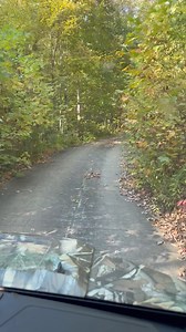 Cajun Navy 2016 on Reels