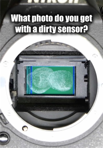 Greasy Fingerprint on Camera Sensor: Impact on Photos