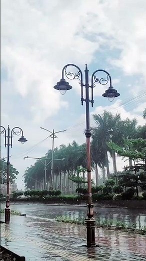 Kerala Travel Guide | God’s Own Country Experience