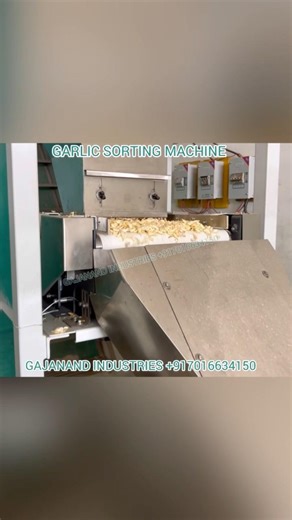 Garlic sorting machine ~ garlic sorter ~ Color sorting machine | gajanand industries