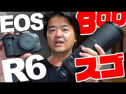 【作例多数】キヤノン EOS R6 フルサイズミラーレスと片手で持てる奇跡の超軽量・超望遠レンズ「RF800mm F11 IS STM」で野鳥を撮影してみた