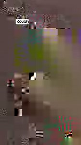 7.6K views · 460 reactions | GET OUT MY SWAMP | Steven Mckell | Facebook