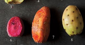 Juicy Fruit: Mexico's Prickly Pear Cactus Fruits