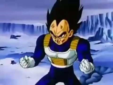 Dragon Ball Z In the End Vegeta Tribute