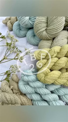 The Big Flock on Instagram: "The next of our wonderful yarn dyers is @nellieandeve with beautiful plant-dyed yarn. “Nellie and Eve’ is an indie yarn company based in rural West Wales, UK Founder & dyer Helen Hickman hand dyes British wool yarns using botanical extracts & natural dyeing methods. Colours are inspired by the landscape & changing seasons of a Welsh mountain. Helen is passionate about using fleece from her flock and neighbouring small farms to produce high quality, exclusive yarns. T