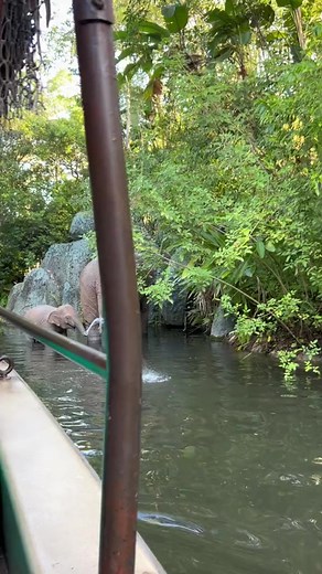 What’s coming out of the elephants nose? | Elephant's Life