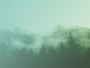 Rethinking "Green Pastures" In Psalm 23... Wow! (Ray Vander Laan)