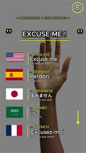 Excuse me ! Beginner Conversation 8