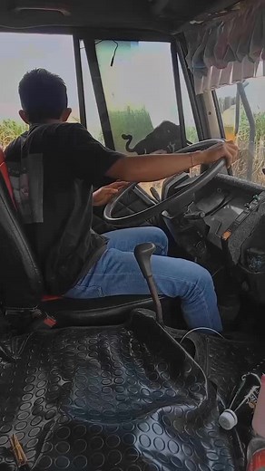 Dong James on TikTok