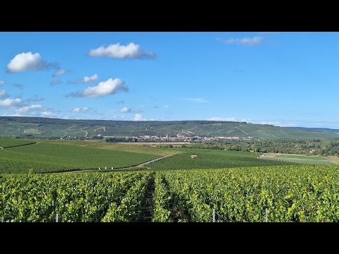 Fantastic February 11….Barra Hall Park