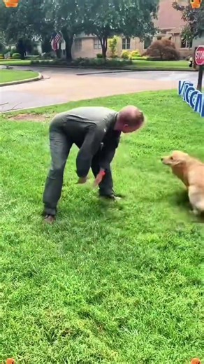 He Finally Saw His Human Again… Emotional Reunion 🐾😭”#DogReunion #DogAndOwner