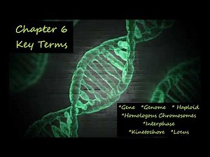 Gene to Locus - Concepts of Biology | Definitions (English Reading Only)
