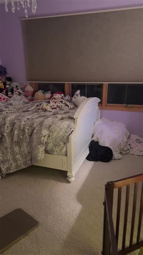 Lionhead Rabbit Care Tips for Bunny Lovers