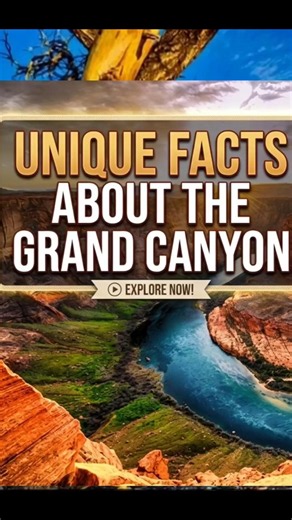 Grand Canyon #Unique #grandcanyon