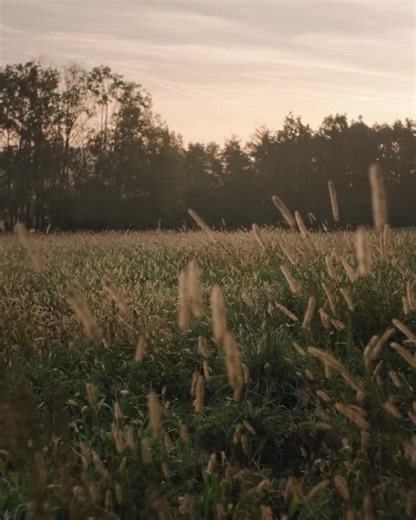 1, 2, click! 📸 Capture an iconic moment in 3 easy steps * ⚠️☝🏽 *Valid for any camera but the new LEGO® Ideas Polaroid Camera 🙃 https://lego.build/Polaroid | LEGO