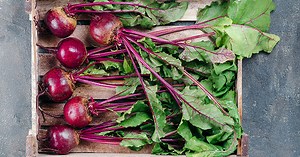 Comment conserver les betteraves rouges ?