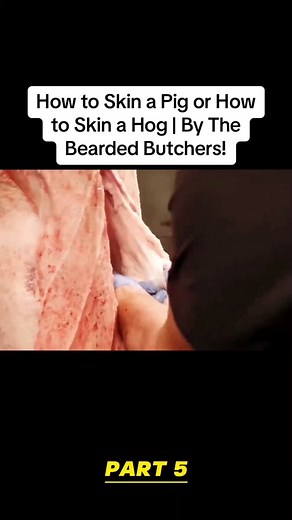 GasMonkey Garage on TikTok