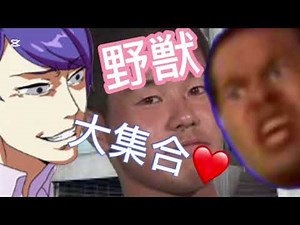 野獣先輩大集合勉強用1時間耐久