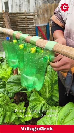 DIY Garden Pest Control: Using Plastic Bottles to Protect Plants