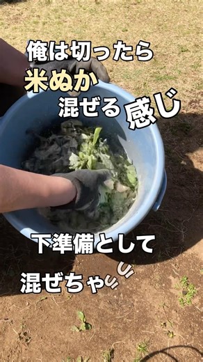 【堆肥づくり】芽かきをしたらコレをやらなきゃ損な感じ！ #じゃがいも #堆肥 #家庭菜園