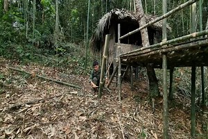 20K views · 1K reactions | Survival Adventures In The Rainforest, bamboo house & Survival instinct | Survival Cooking Skills | Facebook
