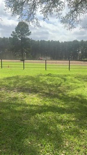 #fyp #mulching #homestead