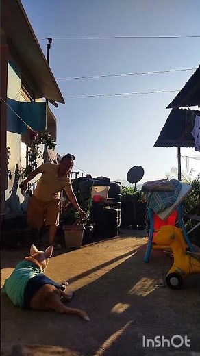 A little dirt won't hurt. #ytshorts