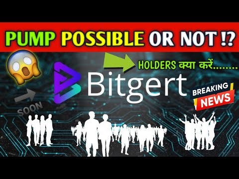 Bitgert brise ? अब क्या होगा Holders का ?? Bitgert coin news today l Bitgert brise update