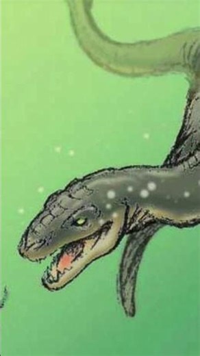 the Altamaha-ha sound #cryptid