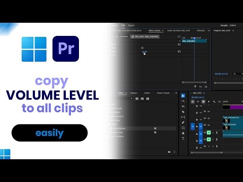 How to Copy Volume Level to all Clips on Premiere Pro [FAST]