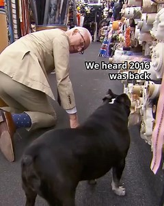 Mood Designer Fabrics on Reels