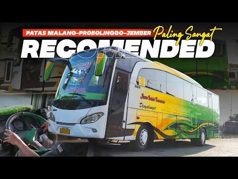 BUS PATAS INI PALING SANGAT RECOMMENDED..❗❗Jawa Indah Transindo Patas Malang-Jember...🔥🔥